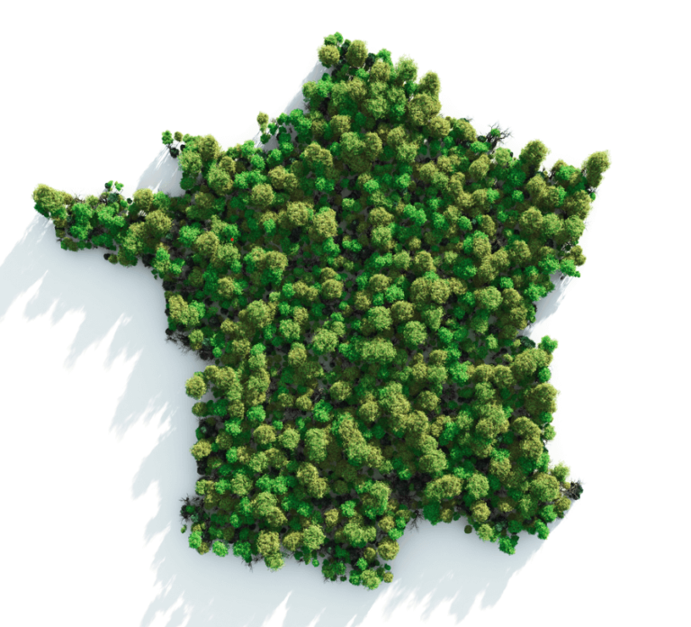 carte de la France recouverte de foret